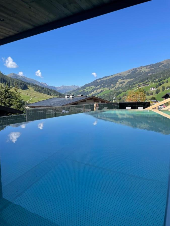 Ferienwohnung Landhaus Gappmaier Saalbach Exterior foto